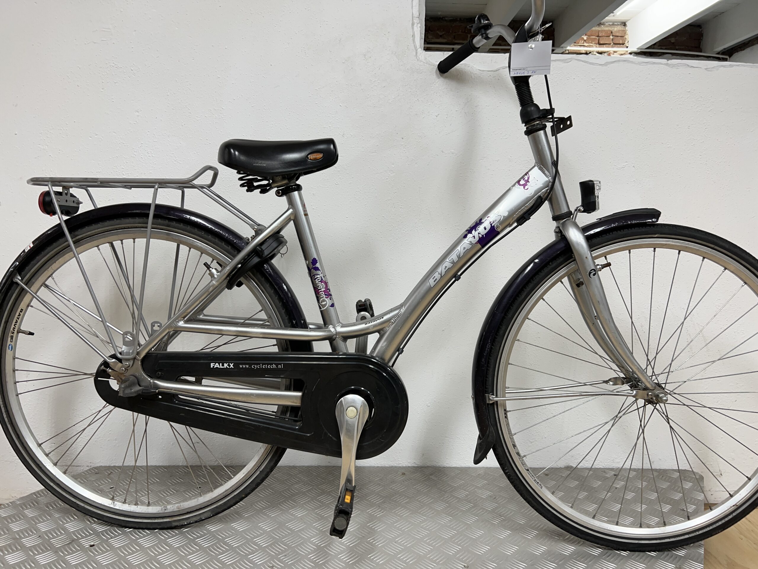 Batavus Twister