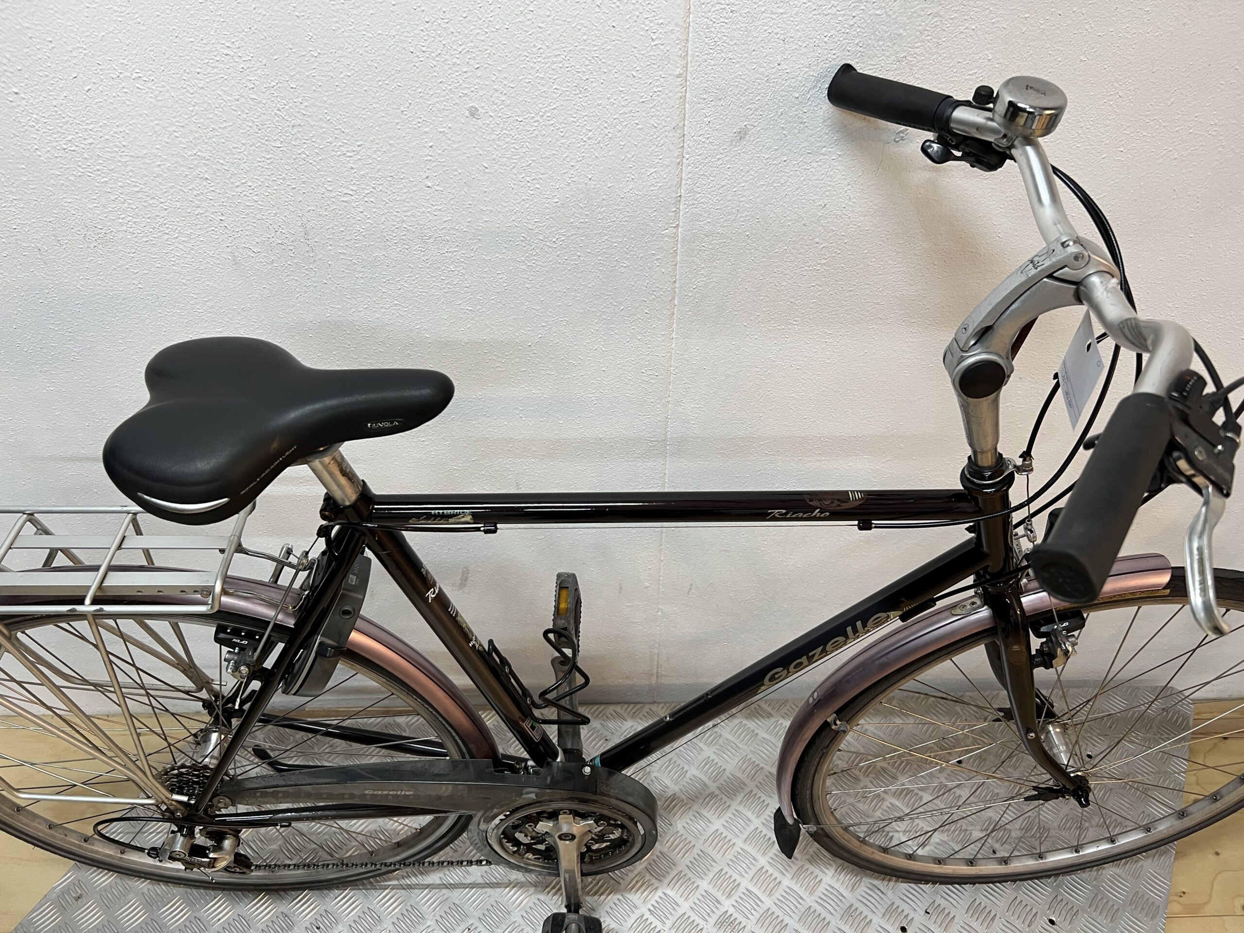 Gazelle Medeo - Afbeelding 2